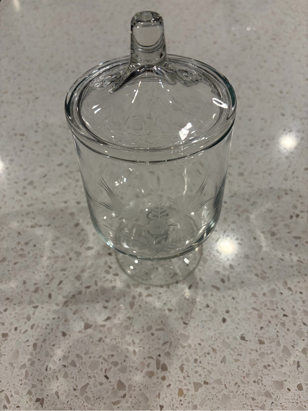 Princess House Clear Etched Glass Apothecary Jar with Lid